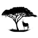 Ethiopian Wildlife Conservation Think Tank