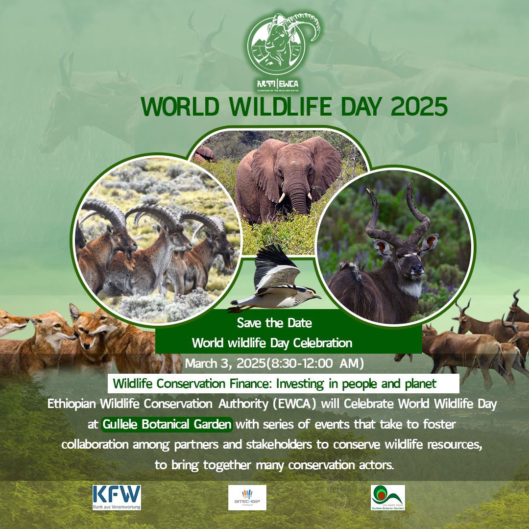 You are currently viewing World Wildlife Day Celebrated